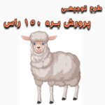 خرید و دانلود طرح توجیهی پرورش بره ۱۵۰ راس