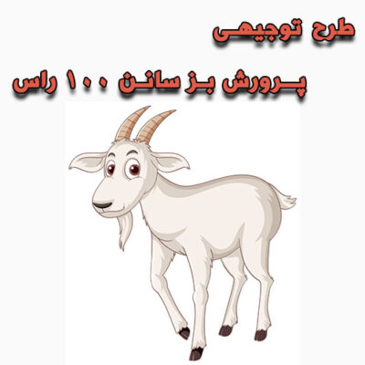 خرید و دانلود طرح توجیهی پرورش بز سانن ۱۰۰ راس