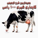 خرید و دانلود طرح توجیهی گاوداری شیری ۱۰۰ راسی