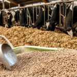 خرید و دانلود طرح توجیهی خوراک دام و طیور به ظرفیت 2 هزار تن سال 1404