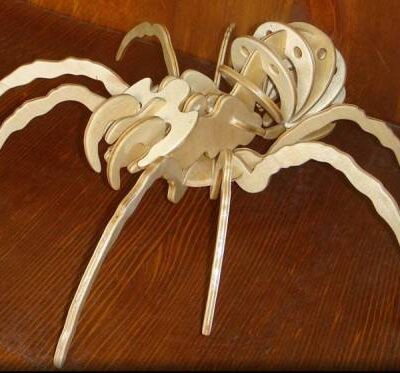 خرید و دانلود طرح عنکبوت