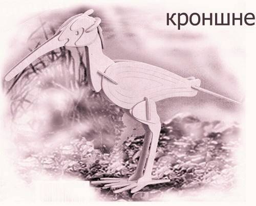 خرید و دانلود طرح لک لک_68b43fc9c03a3.jpeg خرید و دانلود طرح لک لک