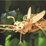 خرید و دانلود طرح مگس