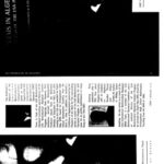 خرید و دانلود نسخه کامل کتاب 101 Problems in Algebra From the Training of the USA IMO Team