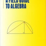 خرید و دانلود نسخه کامل کتاب A Field Guide to Algebra