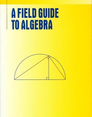 خرید و دانلود نسخه کامل کتاب A Field Guide to Algebra
