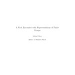 خرید و دانلود نسخه کامل کتاب A First Encounter with Representations of Finite Groups