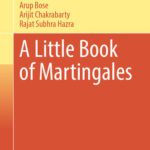خرید و دانلود نسخه کامل کتاب A Little Book of Martingales