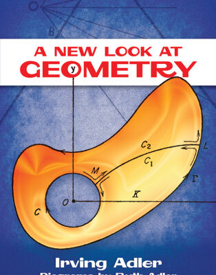 خرید و دانلود نسخه کامل کتاب A New Look at Geometry