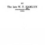 خرید و دانلود نسخه کامل کتاب A short study of the Western Mandinka language