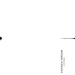 خرید و دانلود نسخه کامل کتاب A Survey of Minimal Surfaces