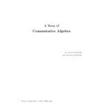 خرید و دانلود نسخه کامل کتاب A term of commutative algebra