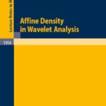 خرید و دانلود نسخه کامل کتاب Affine Density in Wavelet Analysis