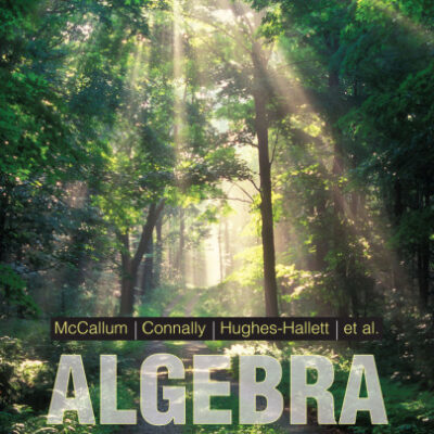 خرید و دانلود نسخه کامل کتاب Algebra: Form and Function