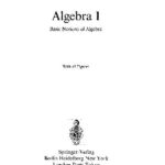 خرید و دانلود نسخه کامل کتاب Algebra I Basic Notions Of Algebra