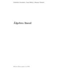 خرید و دانلود نسخه کامل کتاب Algebra Lineal