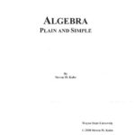 خرید و دانلود نسخه کامل کتاب Algebra: Plain And Simple