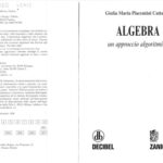 خرید و دانلود نسخه کامل کتاب Algebra. Un approccio algoritmico