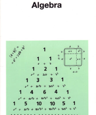 خرید و دانلود نسخه کامل کتاب Algebra