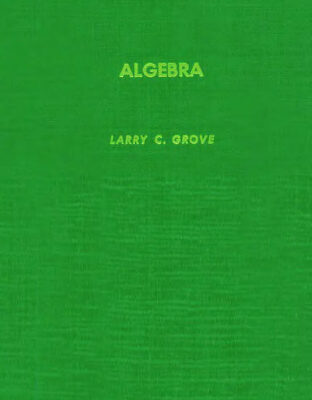 خرید و دانلود نسخه کامل کتاب Algebra