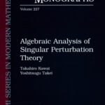 خرید و دانلود نسخه کامل کتاب Algebraic Analysis of Singular Perturbation Theory