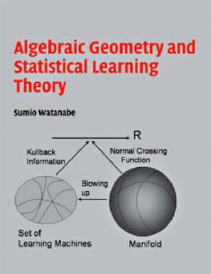 خرید و دانلود نسخه کامل کتاب Algebraic Geometry and Statistical Learning Theory