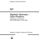 خرید و دانلود نسخه کامل کتاب Algebraic Geometry — Open Problems: Proceedings of the Conference Held in Ravello, May 31 – June 5, 1982