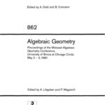 خرید و دانلود نسخه کامل کتاب Algebraic Geometry. Proc. conf. Chicago, 1980