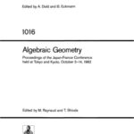 خرید و دانلود نسخه کامل کتاب Algebraic Geometry. Proc. conf. Tokyo, Kyoto, 1982