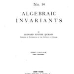 خرید و دانلود نسخه کامل کتاب Algebraic invariants