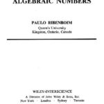 خرید و دانلود نسخه کامل کتاب Algebraic numbers