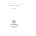 خرید و دانلود نسخه کامل کتاب Algebraic Properties of Ore Extensions and Their Commutative Subrings