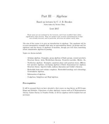 خرید و دانلود نسخه کامل کتاب Algebras