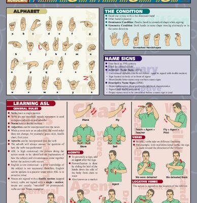خرید و دانلود نسخه کامل کتاب American Sign Language – BarCharts QuickStudy Guides