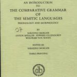 خرید و دانلود نسخه کامل کتاب An Introduction to the Comparative Grammar of the Semitic Languages: Phonology and Morphology (Porta Linguarum Orientalium)