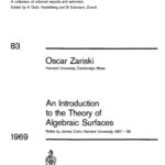 خرید و دانلود نسخه کامل کتاب An Introduction to the Theory of Algebraic Surfaces