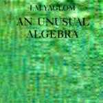 خرید و دانلود نسخه کامل کتاب An Unusual Algebra