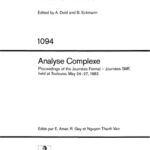خرید و دانلود نسخه کامل کتاب Analyse Complexe