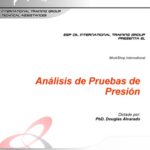 خرید و دانلود نسخه کامل کتاب Analysis de Presion