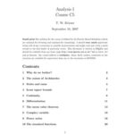 خرید و دانلود نسخه کامل کتاب Analysis I