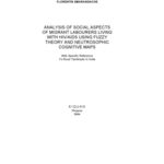 خرید و دانلود نسخه کامل کتاب Analysis of Social Aspects of Migrant Labourers Living with HIV AIDS Using Fuzzy Theory and Neutrosophic Cognitive Maps: With specific reference to Rural Tamilnadu in India