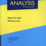 خرید و دانلود نسخه کامل کتاب Analysis