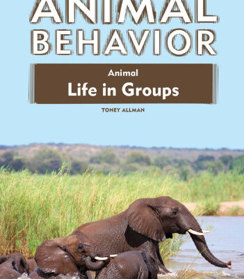 خرید و دانلود نسخه کامل کتاب Animal Life in Groups (Animal Behavior)