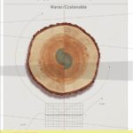 خرید و دانلود نسخه کامل کتاب Applied Calculus [enh rvw edn.]