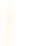 خرید و دانلود نسخه کامل کتاب Aristoteles, ‘Metaphysik Z’: Text, Ubersetzung und Kommentar, Band 2