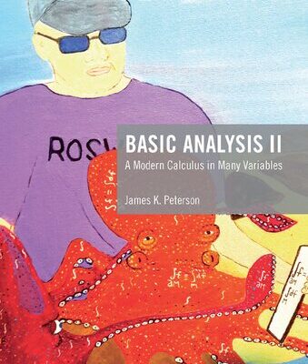 خرید و دانلود نسخه کامل کتاب Basic Analysis II: A Modern Calculus in Many Variables