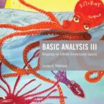 خرید و دانلود نسخه کامل کتاب Basic Analysis III: Mappings on Infinite Dimensional Spaces
