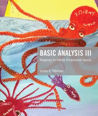خرید و دانلود نسخه کامل کتاب Basic Analysis III: Mappings on Infinite Dimensional Spaces