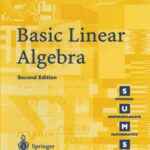 خرید و دانلود نسخه کامل کتاب Basic Linear Algebra
