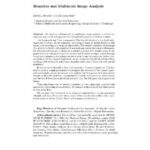 خرید و دانلود نسخه کامل کتاب Beamlets and multiscale image processing
